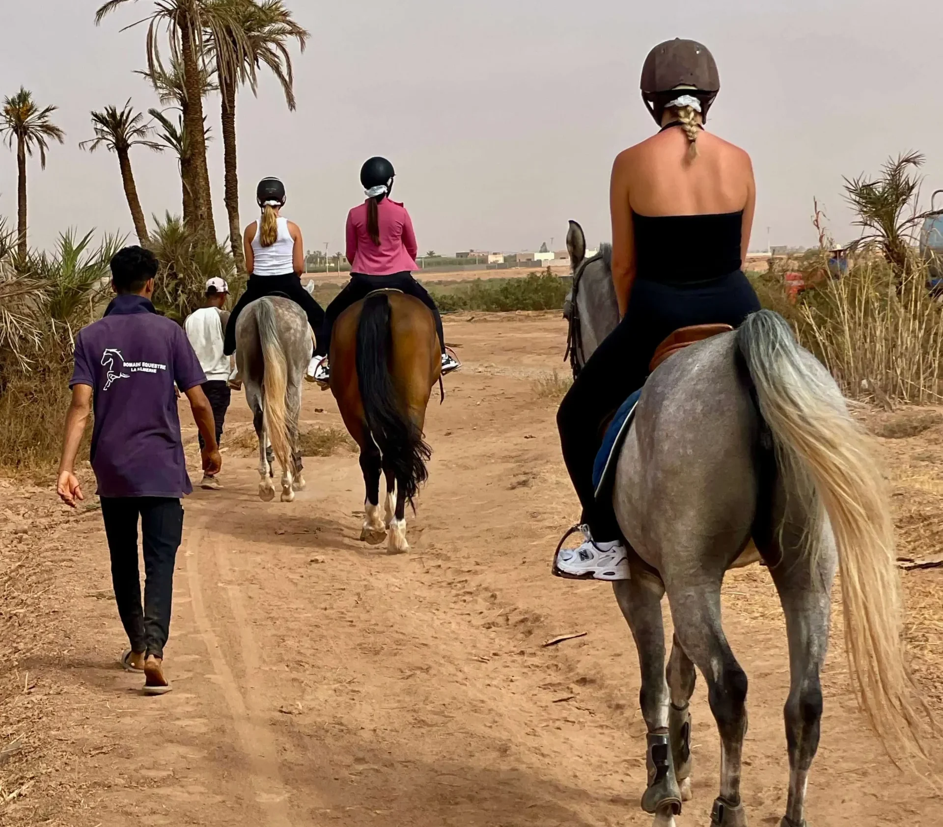 Balade à cheval dans la Palmeraie de Marrakech