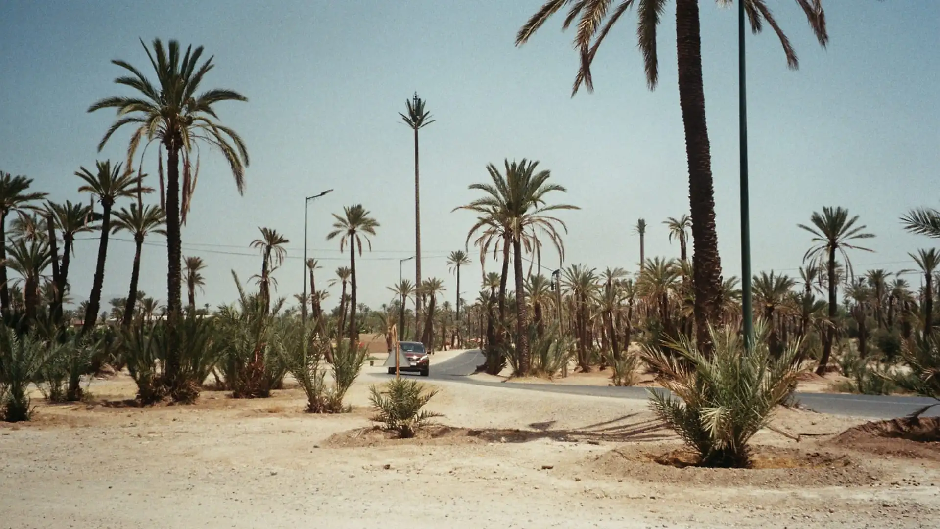 Ou Faire du Cheval à Marrakech