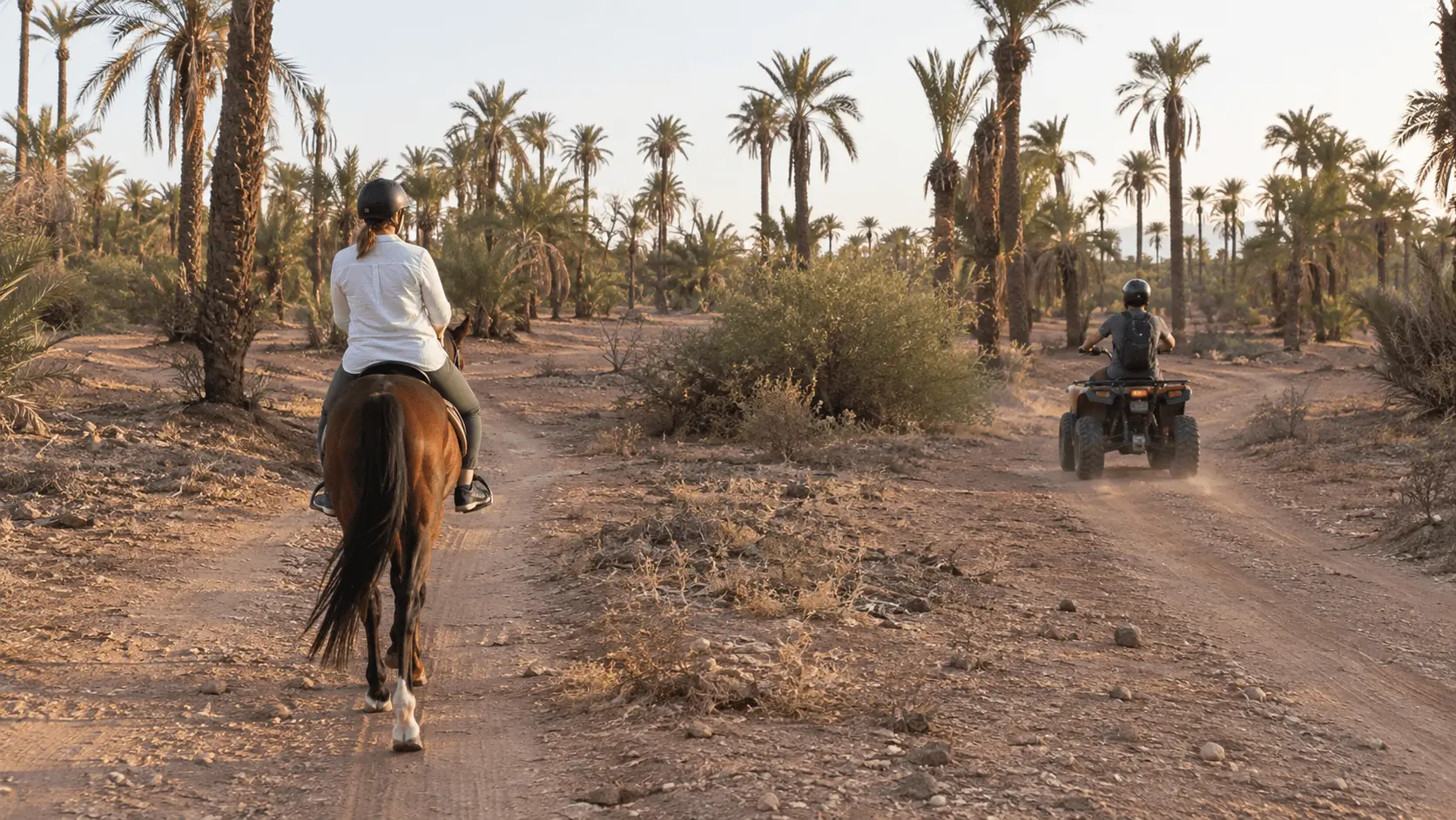 Quad ou cheval Marrakech
