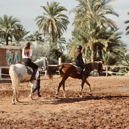 activite-palmeraie-marrakech-cheval