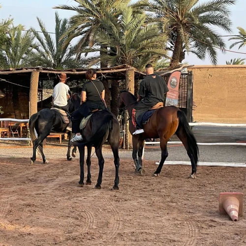 balade-cheval-palmeraie-marrakech-privee