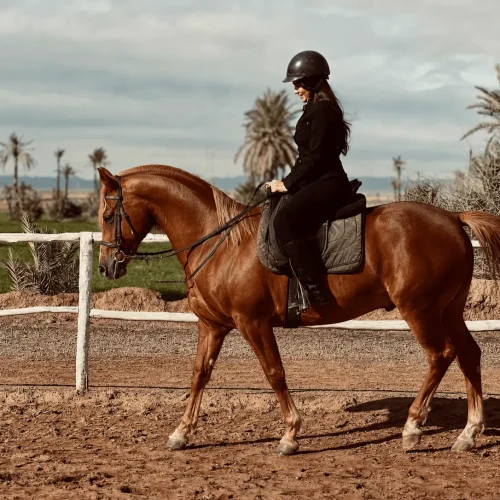 balade-privee-cheval-marrakech