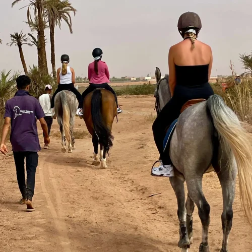 Balade à cheval dans la Palmeraie de Marrakech