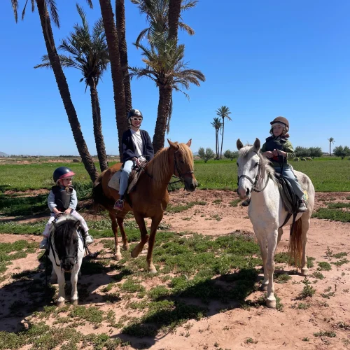 cheval-palmeraie-marrakech-guide-local