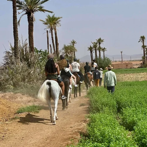 cheval-palmeraie-marrakech-sunset
