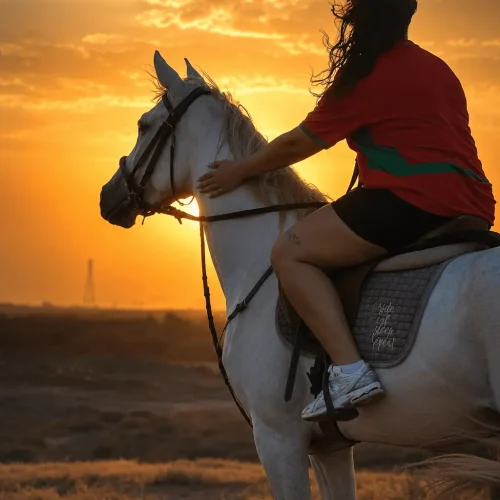 cheval-palmeraie-sunset-marrakech