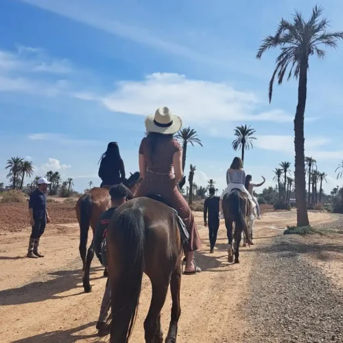 faire-cheval-marrakech-debutant
