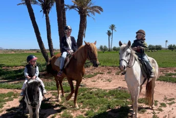 horseback-riding-marrakech-palmeraie-sunset