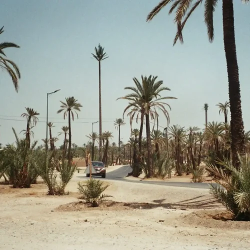 Ou Faire du Cheval à Marrakech