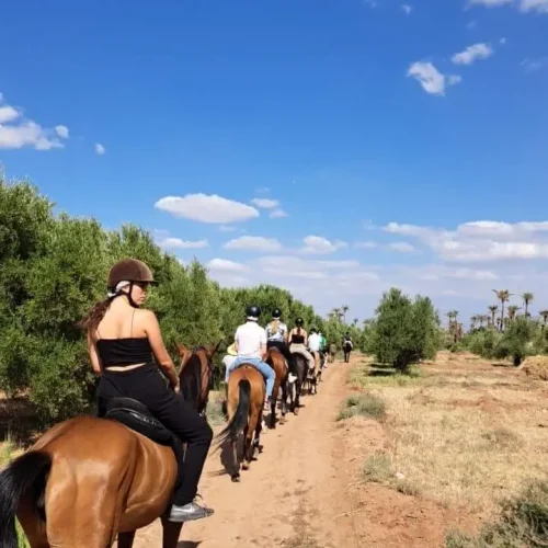 Cavaliers sur les pistes de la Palmeraie de Marrakech