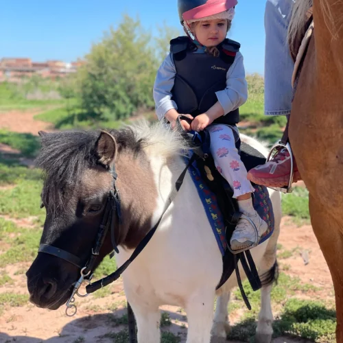 poney balade
