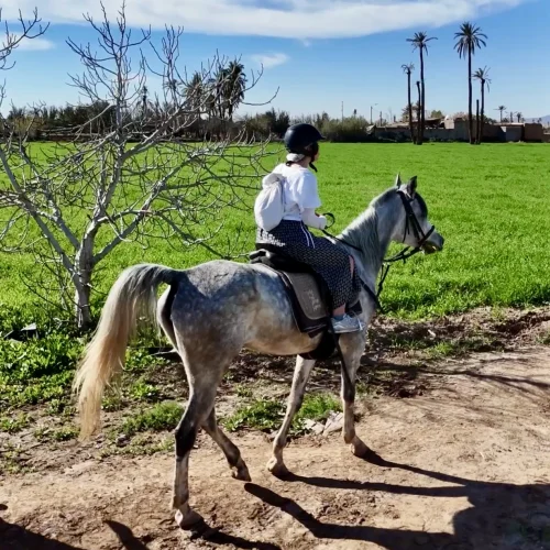 private-horseback-ride-marrakech-guide-local.webp_9202